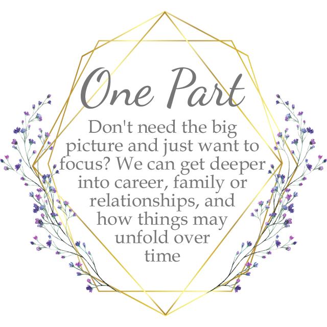 Just ONE part of the Picture: Don't need the big picture and just wanna focus? We can get deeper into career, family or relationships, and how things may unfold over time